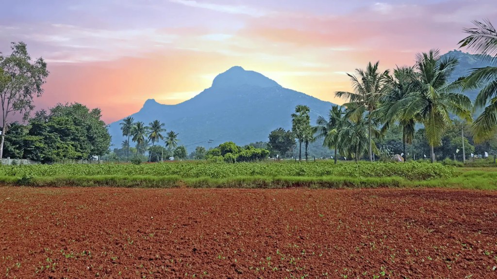 Viaje a la India - Semana Santa 2026